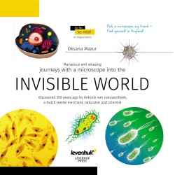 Invisible World