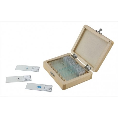 Set 25 de preparate pentru microscop Celestron