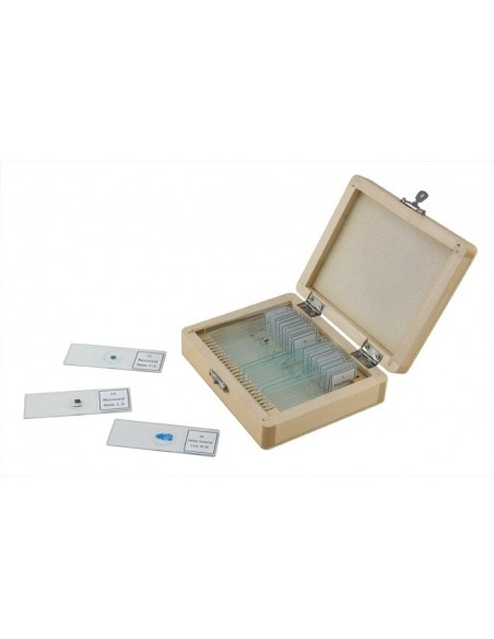 Set 25 de preparate pentru microscop Celestron