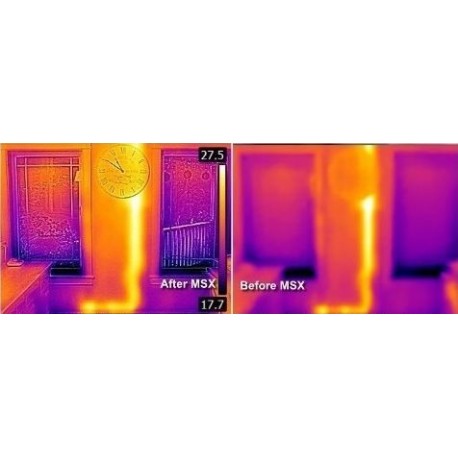 Camera termoviziune FLIR C2
