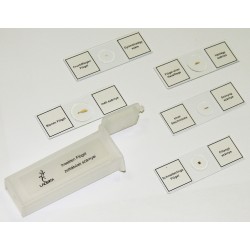 Set preparate microscop (5 buc. aripi de insecte)