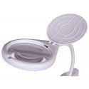 Lupa Levenhuk Zeno Desk D19 2/6x 120/25mm