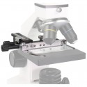 Vernier Omegon
