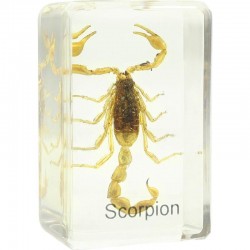 Preparat Scorpion