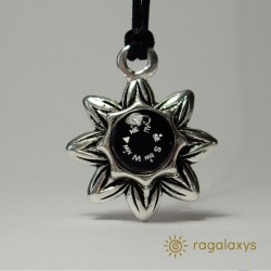 Busola Polar Star