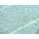 Microscop digital Delta Smart 5MP PRO