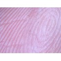 Microscop digital Delta Smart 5MP PRO