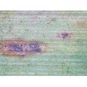 Microscop digital Delta Smart 5MP PRO