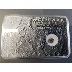 Meteorit NWA10203