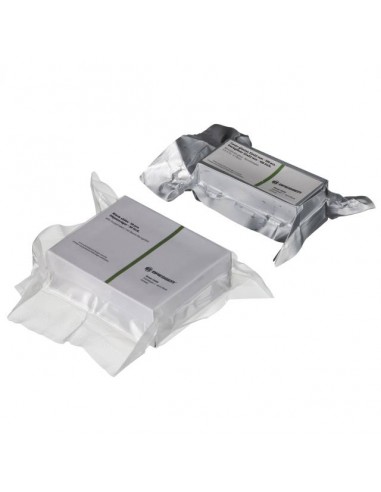 Set lame microscop Bresser