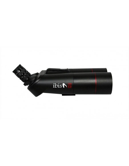 Binoclu Ibis 100 ED APO