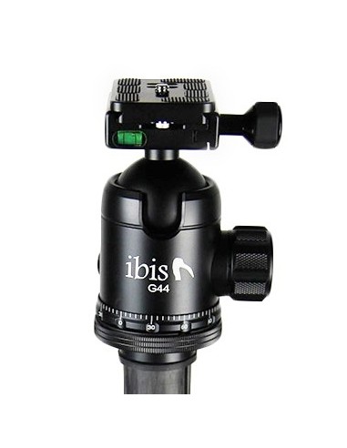 Cap tip bilă Ibis G44