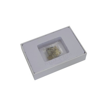 Mini set fosile Omegon