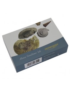 Mini set fosile Omegon