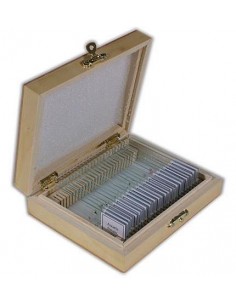 Set preparate TS-Optics zoologie, 25 buc. in cutie din lemn