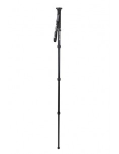 Monopod Hummingbird Celestron