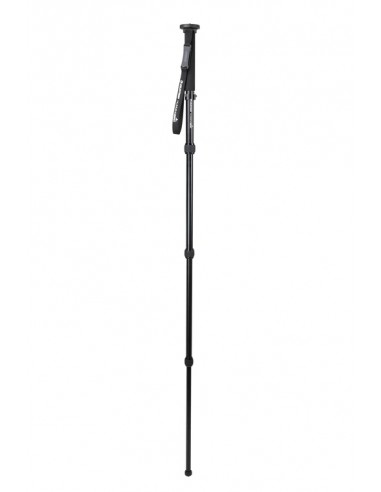 Monopod Hummingbird Celestron