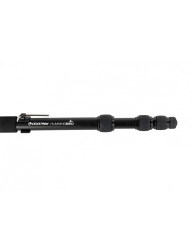 Monopod Hummingbird Celestron