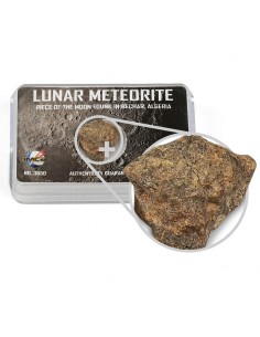 Meteorit Luna (Algeria) 0,4-0,6 gr. 2