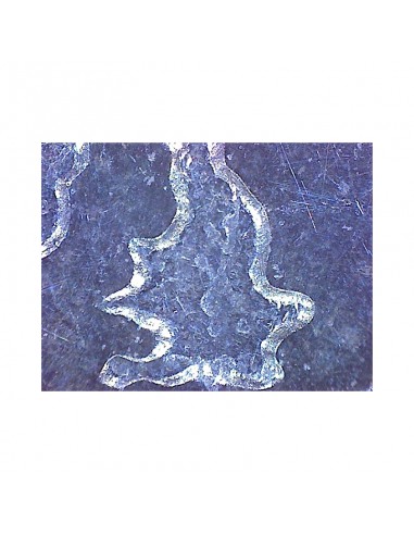 Microscop de mână Omegon USB