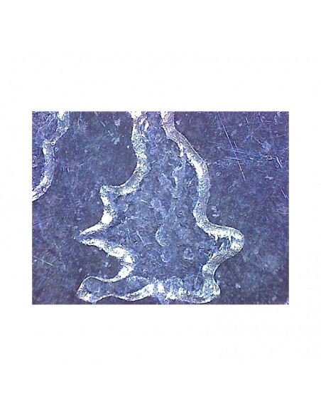 Microscop de mână Omegon USB