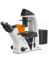 Microscop inversat Kern OCM 165