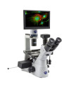 Microscop inversat Optika IM-3LD4D, 6MP, 12", trinocular, IOS U-PLAN F, LED-FLUO, LWD, 400x, 4 sloturi pentru filtre