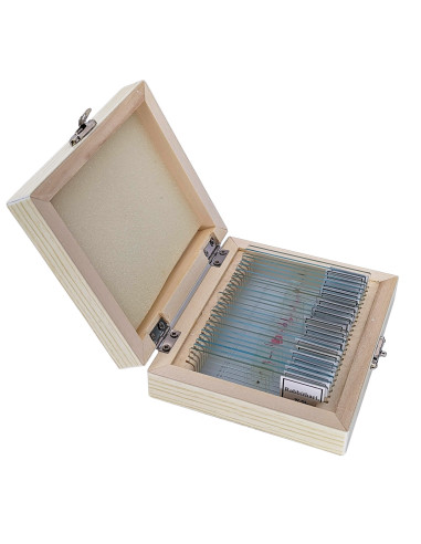 Preparate pentru microscop (25 buc, pentru elevi) (E)