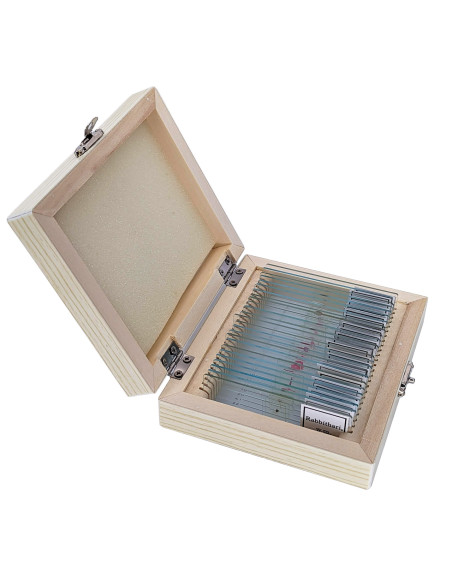 Preparate pentru microscop (25 buc, pentru elevi) (E)